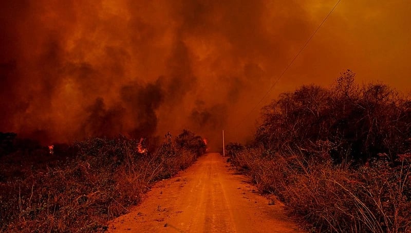 Foto de queimada no Pantanal em 2020. Créditos:  Mayke Toscano/Secom-MT.